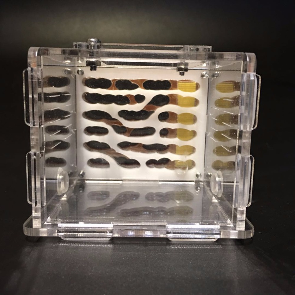Mini Platz Ameise Nest Größe 85x85x75 MM Acryl Ameisen Bauernhof freundlicher DIY Geburtstag Spielzeug Mit Werkzeug Bausätze einstellen Haustier Ameisen Insekten Käfige