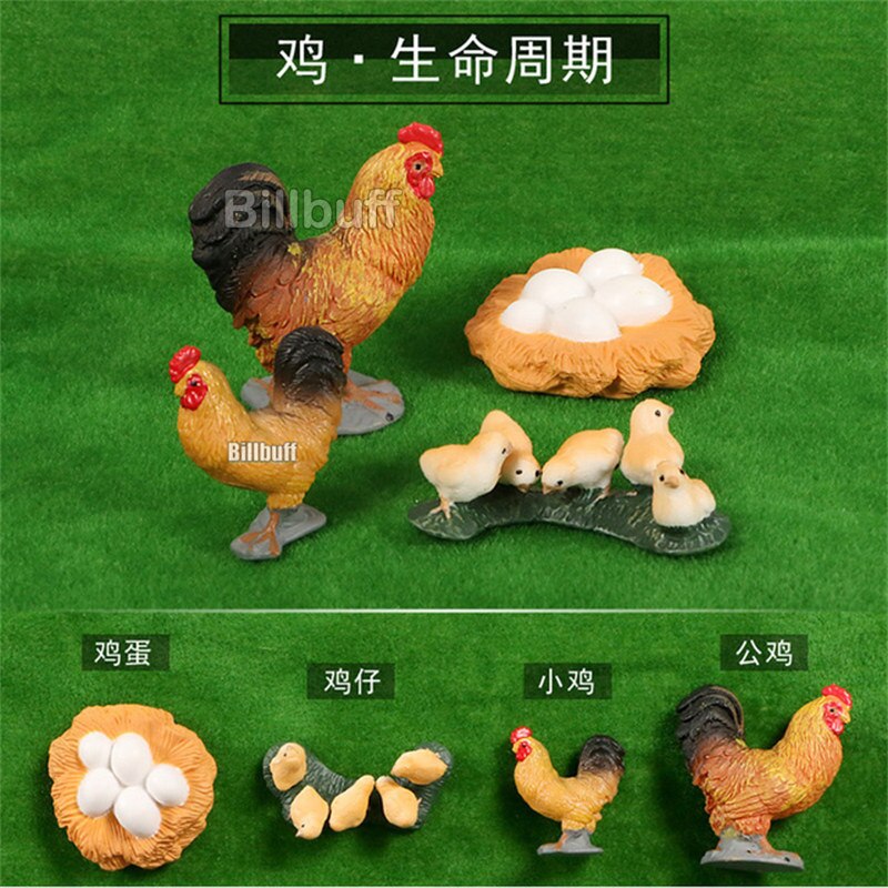 Simulatie Pluimvee Dieren Model Kip Haan Turkije Actiefiguren Vroege Educatief Speelgoed Voor Kinderen Kerst Cadeau: chick figures r