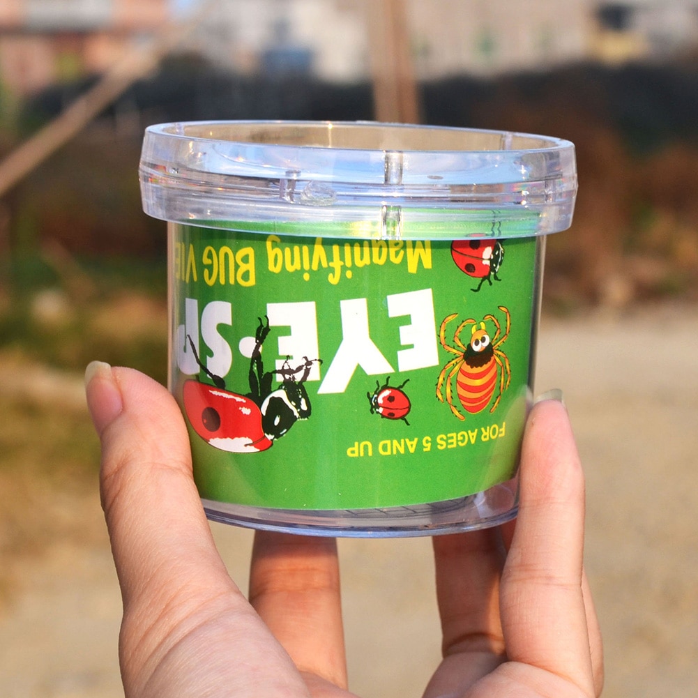 Insect Spider Science Exploration Teaching Utensils Experiment Observation Box Kindergarten Elementary Science Experiment Aids