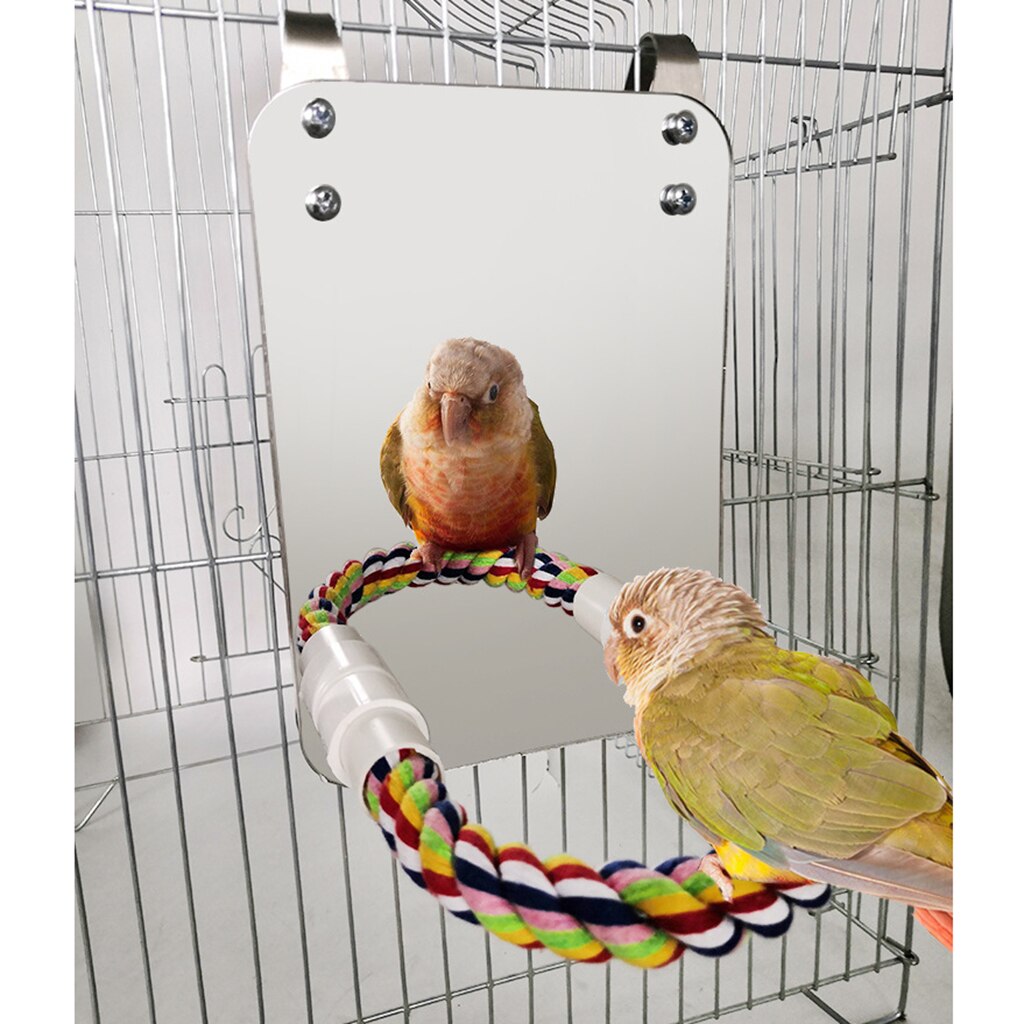 Espejo grande de pájaro y jaula de cuerda para percha, juguete para loros, periquito, Macaws, aletas, soporte de cuerda