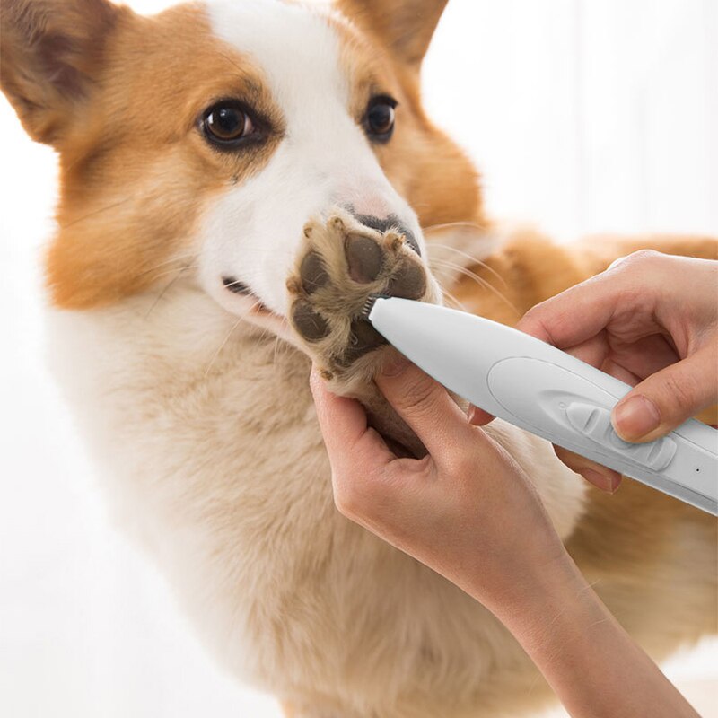 Tondeuse professionnelle à faible bruit pour chiens et chats, Kit de toilettage pour petits chiens et chats