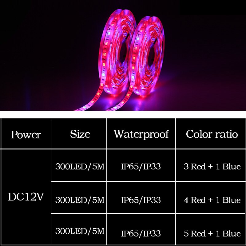 5050 SMD 5 M LED Grow Lamp Volledige Spectrum LED Strip Licht IP33 IP65 DC12V 300 LEDs Groei Lamp Phytolamp voor Kasplant Kamer