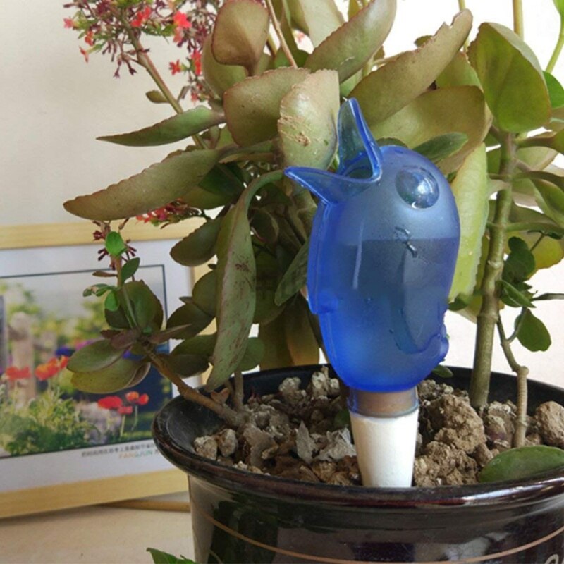 Kleine vogelwatervoorziening, automatisch watergee...  Grandado