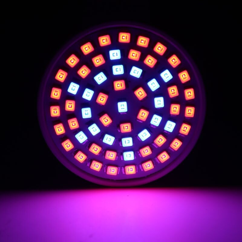 Ampoule de croissance Led E27 E14 GU10 MR16 B22, 220V, éclairage horticole à spectre complet pour Aquarium de plantes, fleurs: 3W 48LED / E27