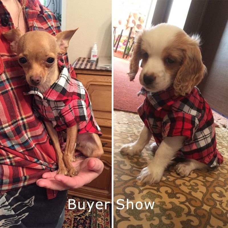 Lente Pet Puppy Hond Vesten Plaid Streep Huisdier T-shirt Katoen Kat Grid Kostuums Hond Herfst Kleding jas Jassen