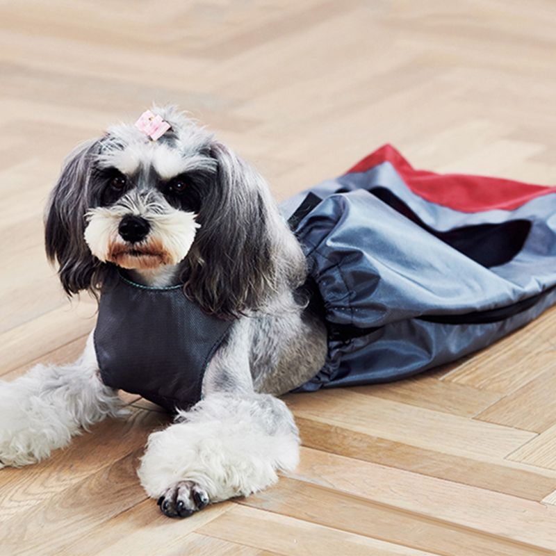 Duurzaam Lopen Slepen Zak Ademend Comfortabel Voor Verlamd Pet Dog Cat Indoor