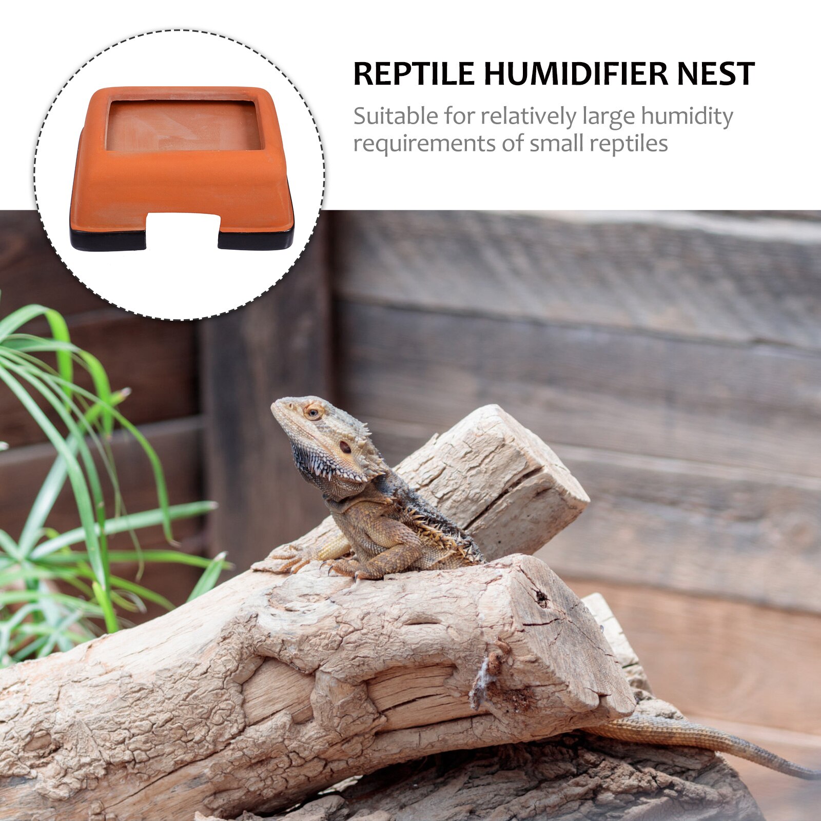 Reptiles de 2 piezas, cueva oculta creativa, pequeña serpiente, escorpión, cueva oculta, nido humidificador