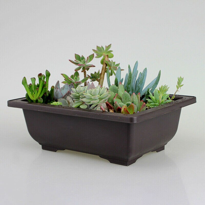 Maceta grande para flores, maceta rectangular para bonsái, vivero, contenedor para balcón, 29x21x10,5 cm