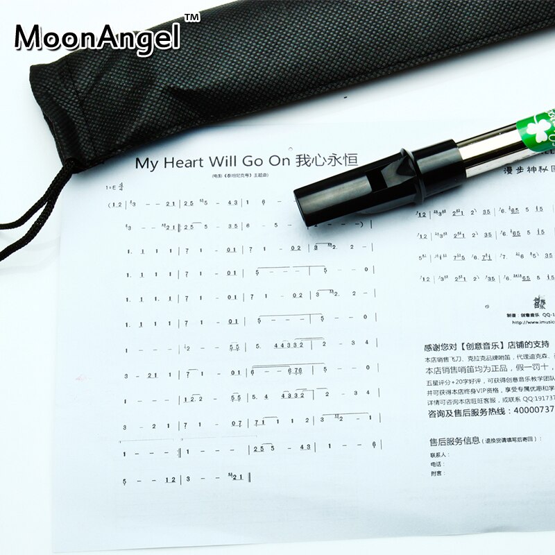 Ierland Muziekinstrument Ierse Fluitje Fluit Professionele Tin Fluitje en Flauta Metalen Mini Tinwhistle D Sleutel