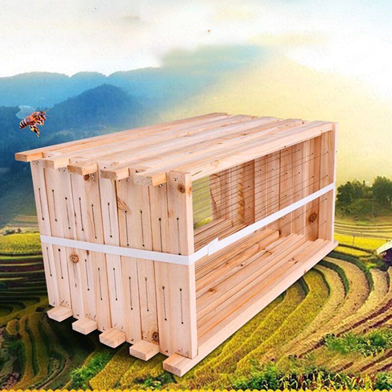 Bee nest box bee intended beehive special nest frame box beekeeping tool fir complete set of 10