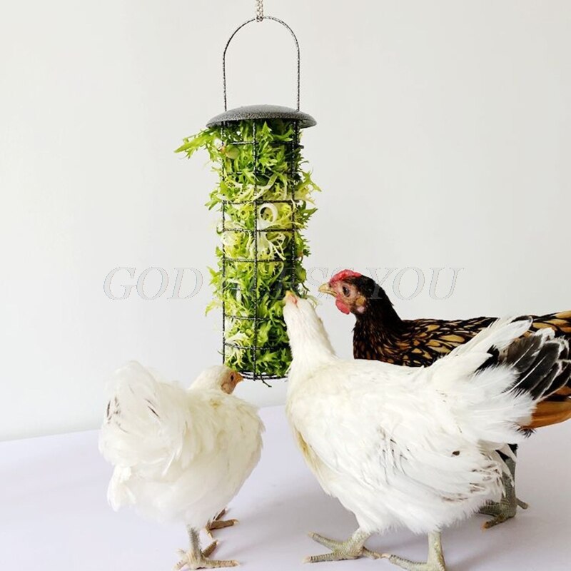 Cesta de alimentación para pollos, alimentador de verduras, frutas, verduras, Paloma, polluelo, gallina, diversión, caja de tratamiento de Metal, herramienta de alimentación