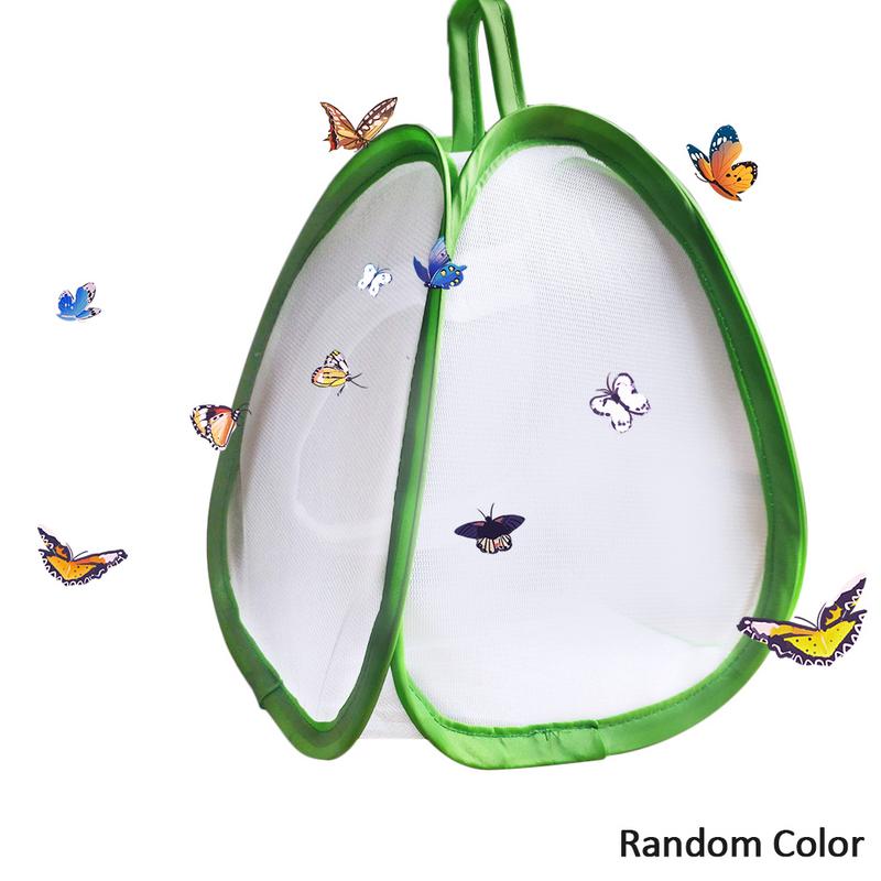 Siedlisko owadów i motyli małe zwierzę klatka owadowa klatka obserwacyjna motyla czysta roślina siatka przeciw insektom