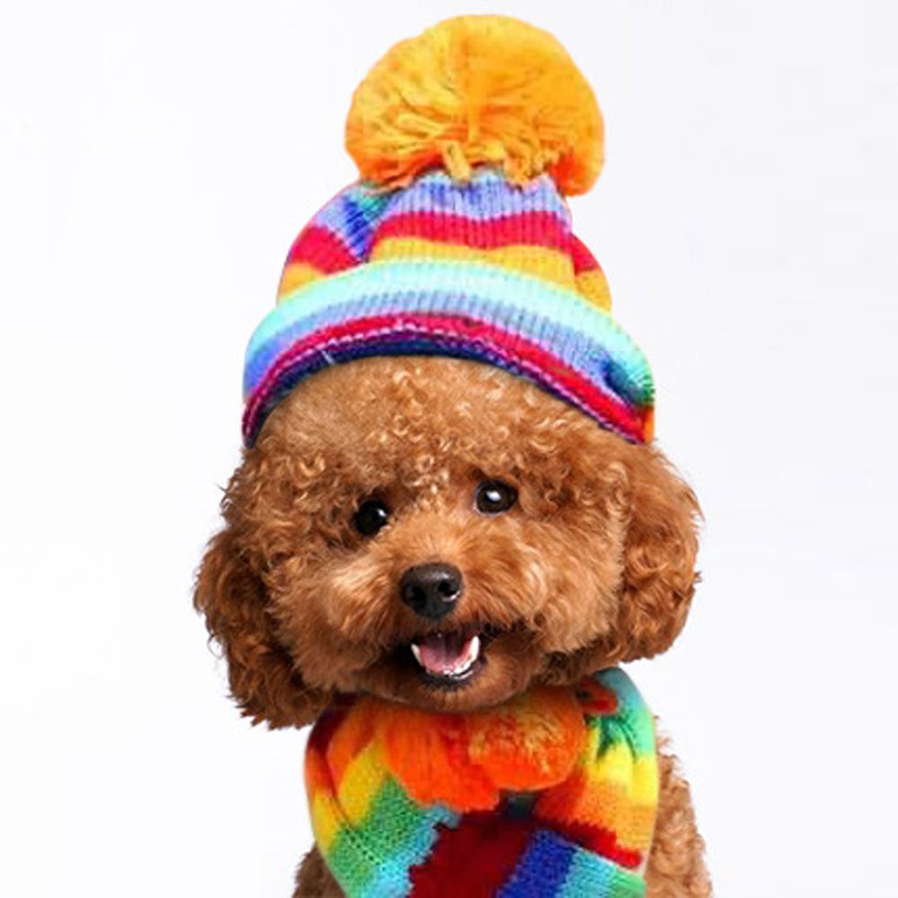 3 Stks/set Leuke Sets Pet Hond Kat Hoed Sjaal Sokken Pak Puppy Kitty Gebreide Streep Kostuum Kleding Outdoor Winter Warm huisdier Producten: L / multi-color