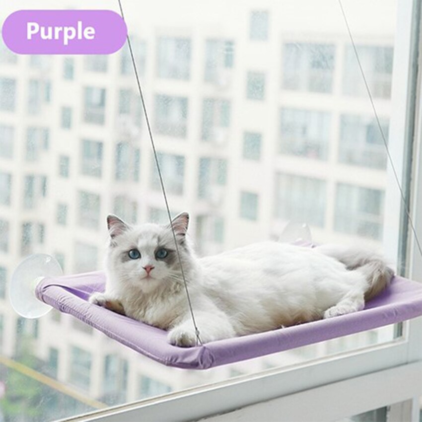 Hamac pour animaux de compagnie, lit-balançoire suspendu, siège de repos, perchoir, fenêtre, confortable, 20kg: Purple