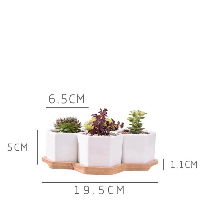Hvid porcelæn sukkulenter potte grønne planter urtepotte med bambus bakke kontor bordplade planter kortfattet vase boligindretning: Q