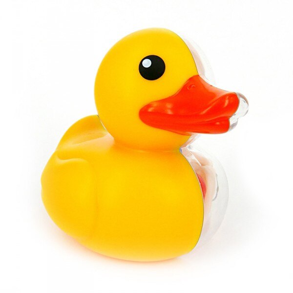 4D Master Perspective bone model of duckling Assembly of duckling animal model Artist Series