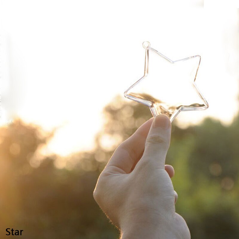 Transparent Ball Clear Plastic Hollow Xmas Ball Decoration Hanging Ball Wedding Candy Box Eternal Flower Hanging Ball: Star-10.3cm