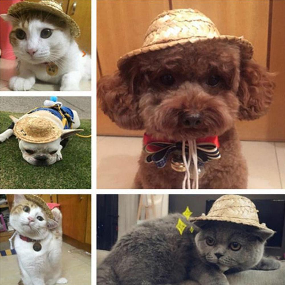 Novo animal de estimação suprimentos mini cães de estimação chapéu de palha gato chapéu de sol praia festa chapéus de palha cães hawaii estilo chapéu para cães engraçado acessórios
