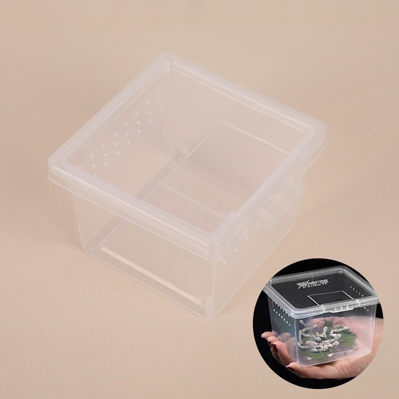 1pc Feeding Box Reptile Cage Hatching Container Rearing Tank for Lizards Terrarium Tortoise Spider Beetle Insect House