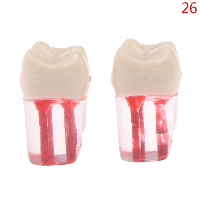 2 uds. De resina endodoncia Dental, modelo de diente Endo, limas de conducto radicular, práctica de pulpa: N26