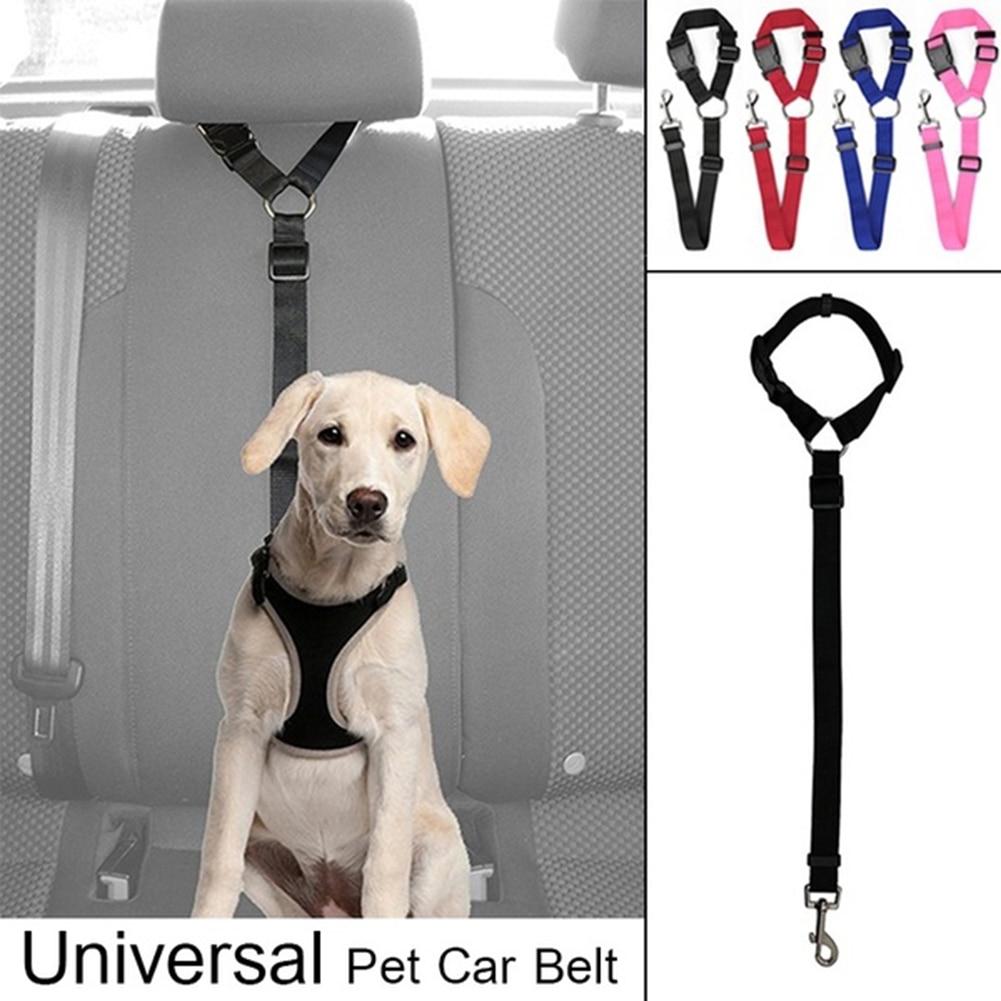 Verstelbare Hond Veiligheidsgordel Comfortabele Fit Hond Harnas Huisdier Auto Autogordel Universal Pet Veiligheid Leash Leads voor Honden /katten: Black