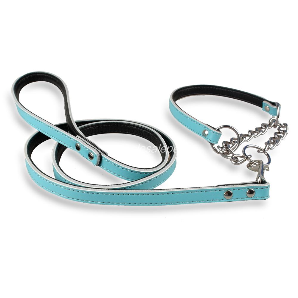 Lederen Hond Wandelen Leash & Half Chain Choke Pet Training Kraag Set