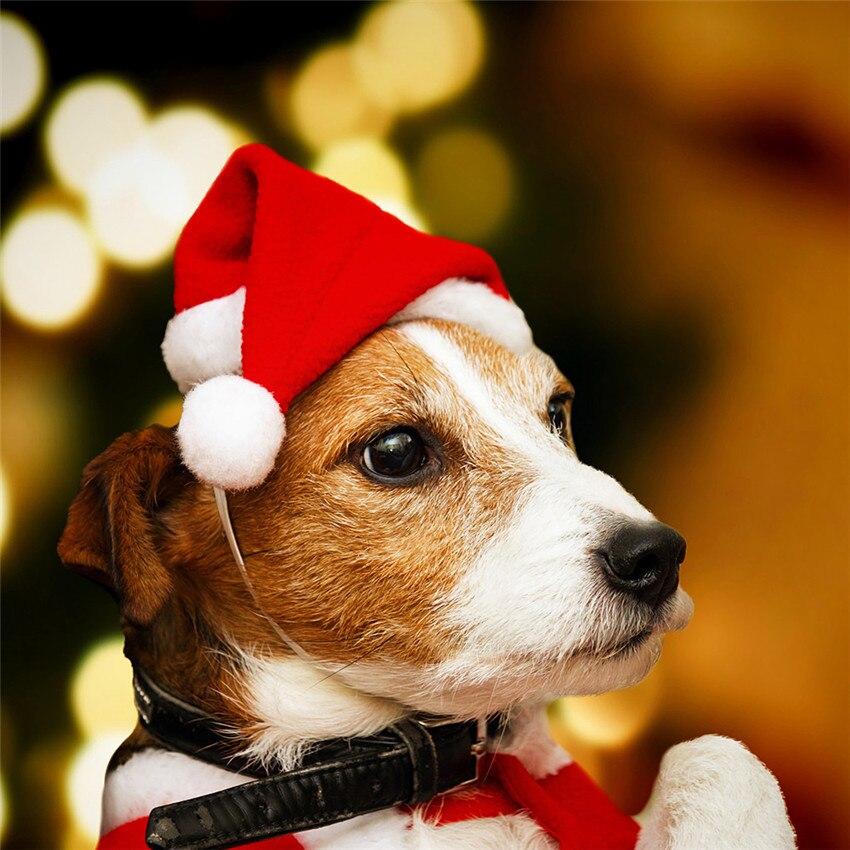 Xmas Hond Hoed Fleece Hond Kat Hoeden Voor Viering Vrolijk Kerstfeest Kleine Pluche Kerstman Hoed Voor Pet Hond Kat hoed Jaar Decor