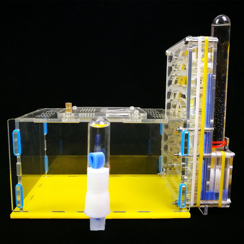 Ant Nest Ant Farm With 2 Nests 1 Water Tower 1 External Water Bowl Ant Home DIY Feeding Area Insect Villa Pet Mania House