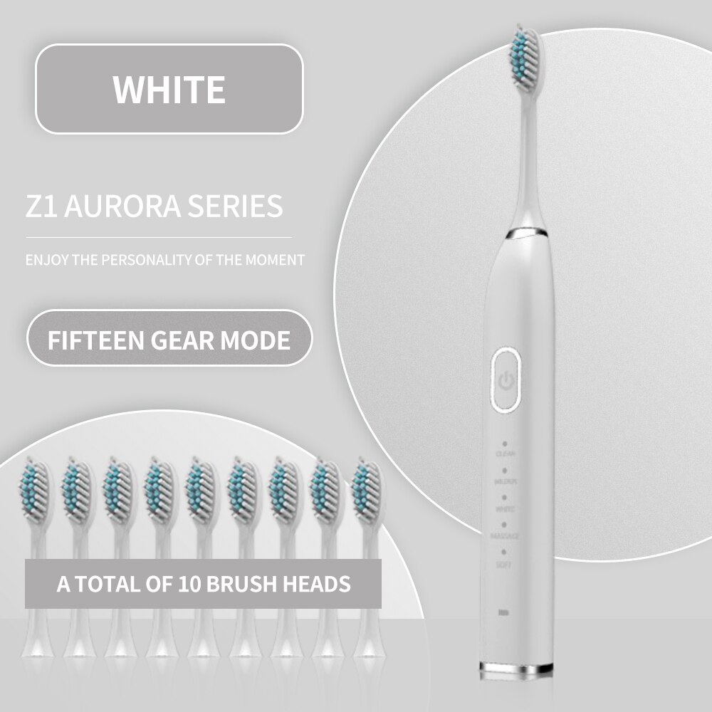 VIP Ultrasonic Sonic Electric Toothbrush 10 Mode USB Rechargeable Electronic Tooth Brush Waterproof Teeth Whitening Dental Brush: MULTI