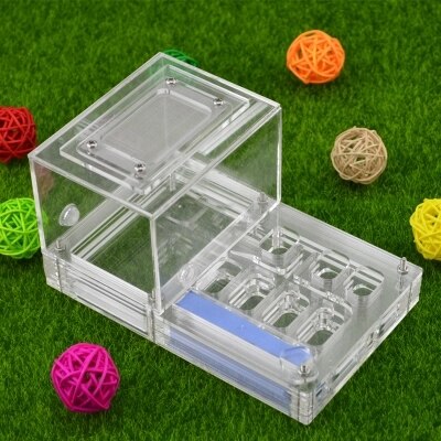 Ant Housing Nest Insect Cage Farms Feed Plastic Acrylic Display Trapezoid Box Ant Villa Nest Small Pet Cages Transparent Wood