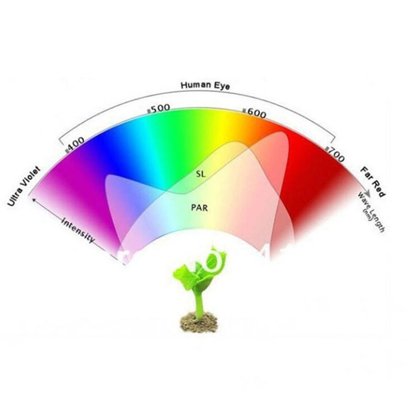 48 Led Grow Light Hydroponics indoor greenhouse vegetable growing lamp green house for Flower plant bulbs full spectrum planter