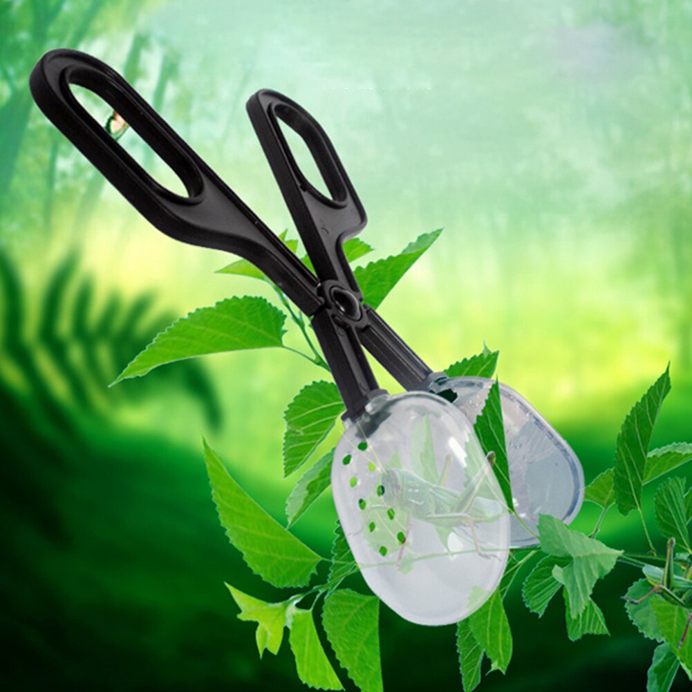 Reptiel Terrarium Hagedissen Plastic Tang Pincet Huisdier Raising Feeding Tool Clip Abs Transparant Insect Clip