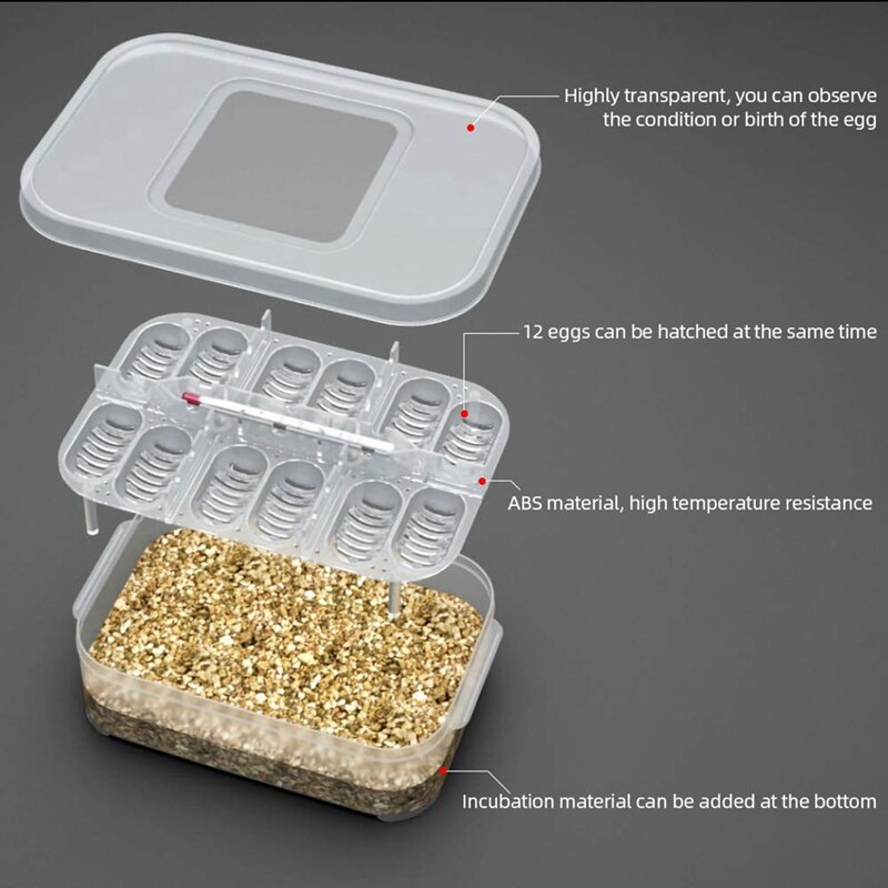 Reptiel Ei Lade Reptiel Ei Doos Reptiel Fokkerij Doos Reptiel Incubatie Doos Geschikt Voor Uitkomen Snake Hagedissen