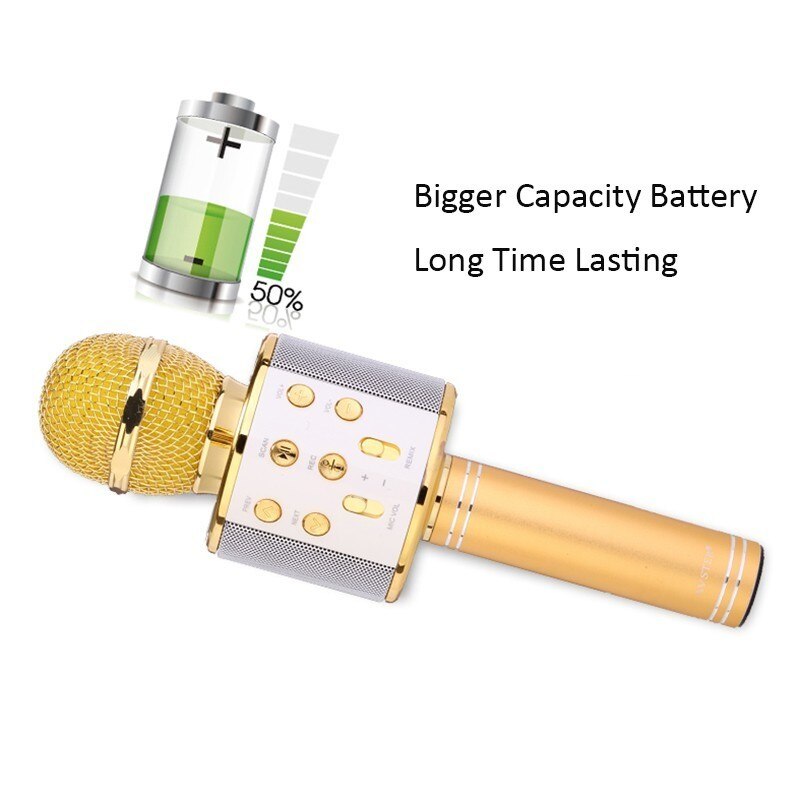 WS 858 Wireless Microphone Karaoke Condenser Mic Wtih Bag Bluetooth Stand Radio Mikrofon Studio Recording Mic WS858