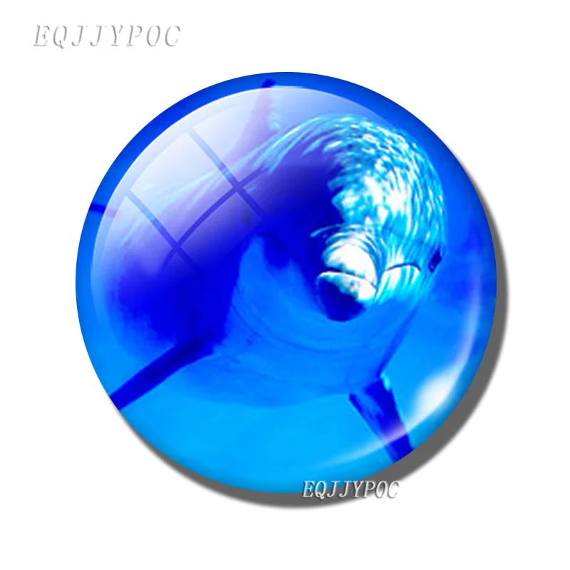 Mergulho 30mm geladeira ímã oceano subaquático criatura foto de vidro cabochão geladeira magnética adesivos nota decoração da sua casa: Vermelho