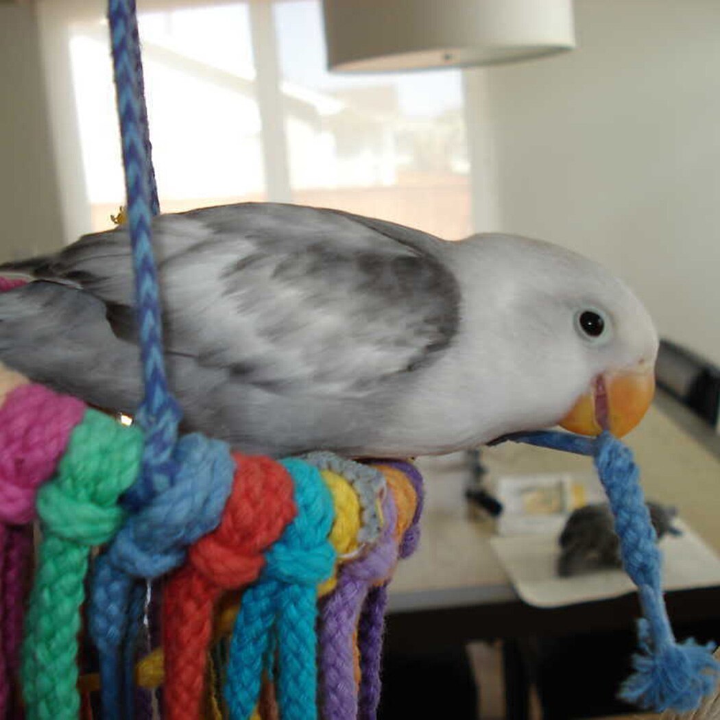Handgemaakte vogel schommel speelgoed katoenen touw vogel kauw speelgoed vogel hangend speelgoed vogelkooi speelgoed