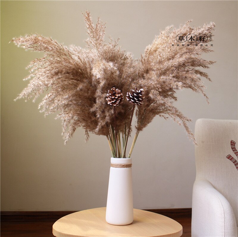 10 st pampas gräs dekor phragmites & vass blommor hem juldekoration torkad blombukett naturliga växter