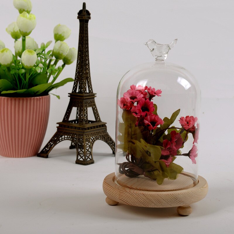 Boligindretning vaser glas blomst display cloche bell jar dome udødelig bevarelse 10 x 12cm