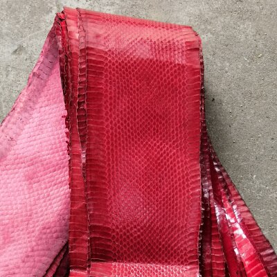 Diy Natuurlijke Slangenhuid Leer Stof Met Zeldzame Huid 100-110x10cm: 7-120x11cm