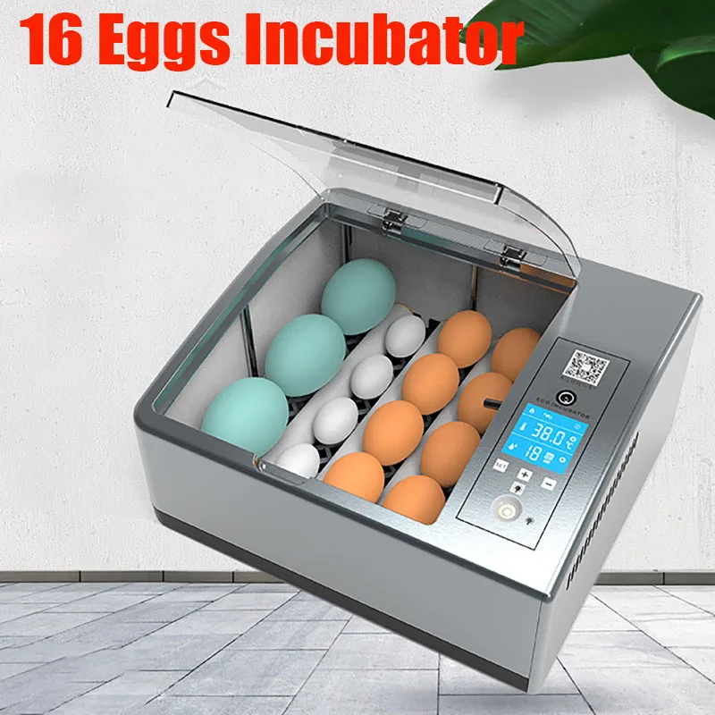 220V Eieren Incubator Broedmachine Automatische Boerderij Incubatie Gereedschap Vogel Kwartel Kuiken Broederij Gevogelte Hatcher Turner 6-16 Ei Incubator
