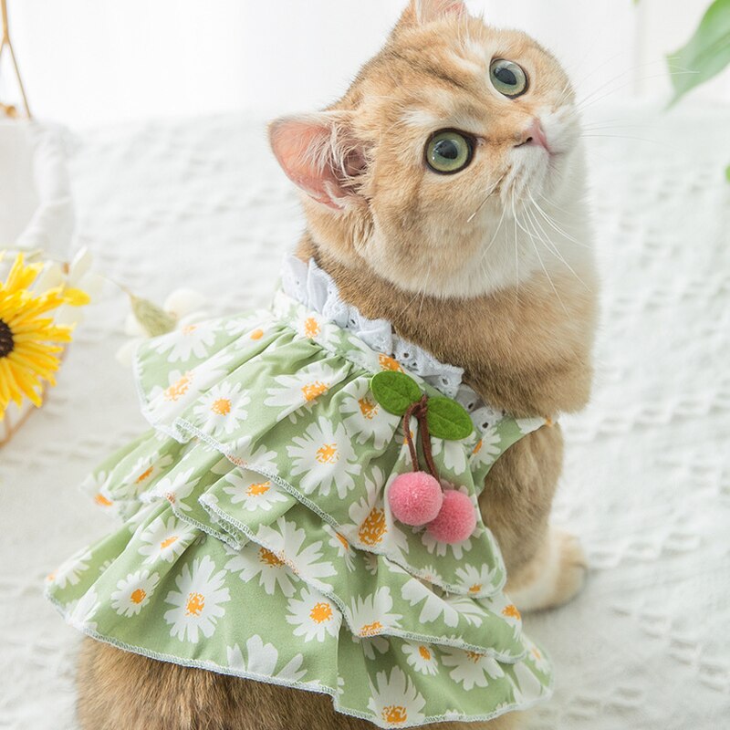 Vêtements de dessin animé pour chiens, imprimé Floral, marguerite, petite robe, Super animal de compagnie, mignon, printemps été, vert