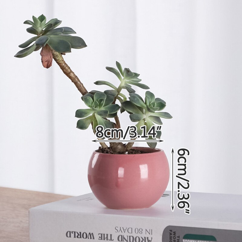 Koreańskie Macarons świeże ceramiczne sukulenty garnki zielone rośliny z otworami małe doniczkowe rośliny kreatywne kryty dekoracja biurka: F
