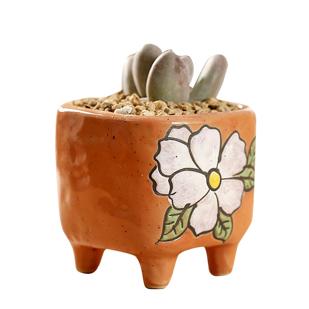 Planta de macetas suculentas económicas macetas de jardín macetas de cerámica planta de macetas er jardín al aire libre decoración del hogar ds99: N25-orange