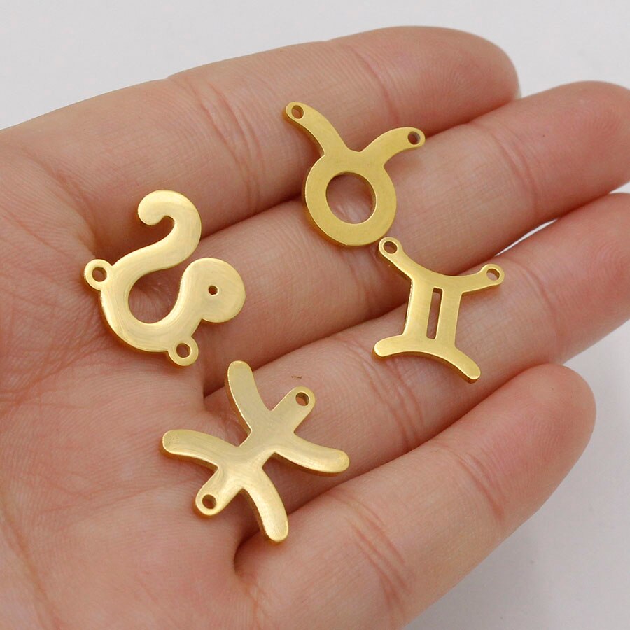 Fnixtar 15mm Mirror Polished Stainless Steel Twelve Zodiac Charms DIY Constellation Connectors Charms DIY Jewelry 12pcs/lot
