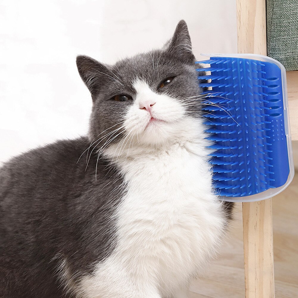 Kat Zelf Groomer Kam Borstel Pet Wrijven Gezicht Kietelen Massage Apparaat Met Catnip Ontharing Kam Voor Kat Hond Pet grooming Supplies