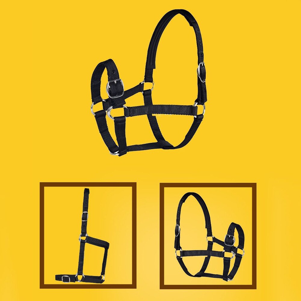 Horse Head Collar Adjustable Riding Safety Halter Belts Equestrian Equipment Riding Racing Equipment Training Rope