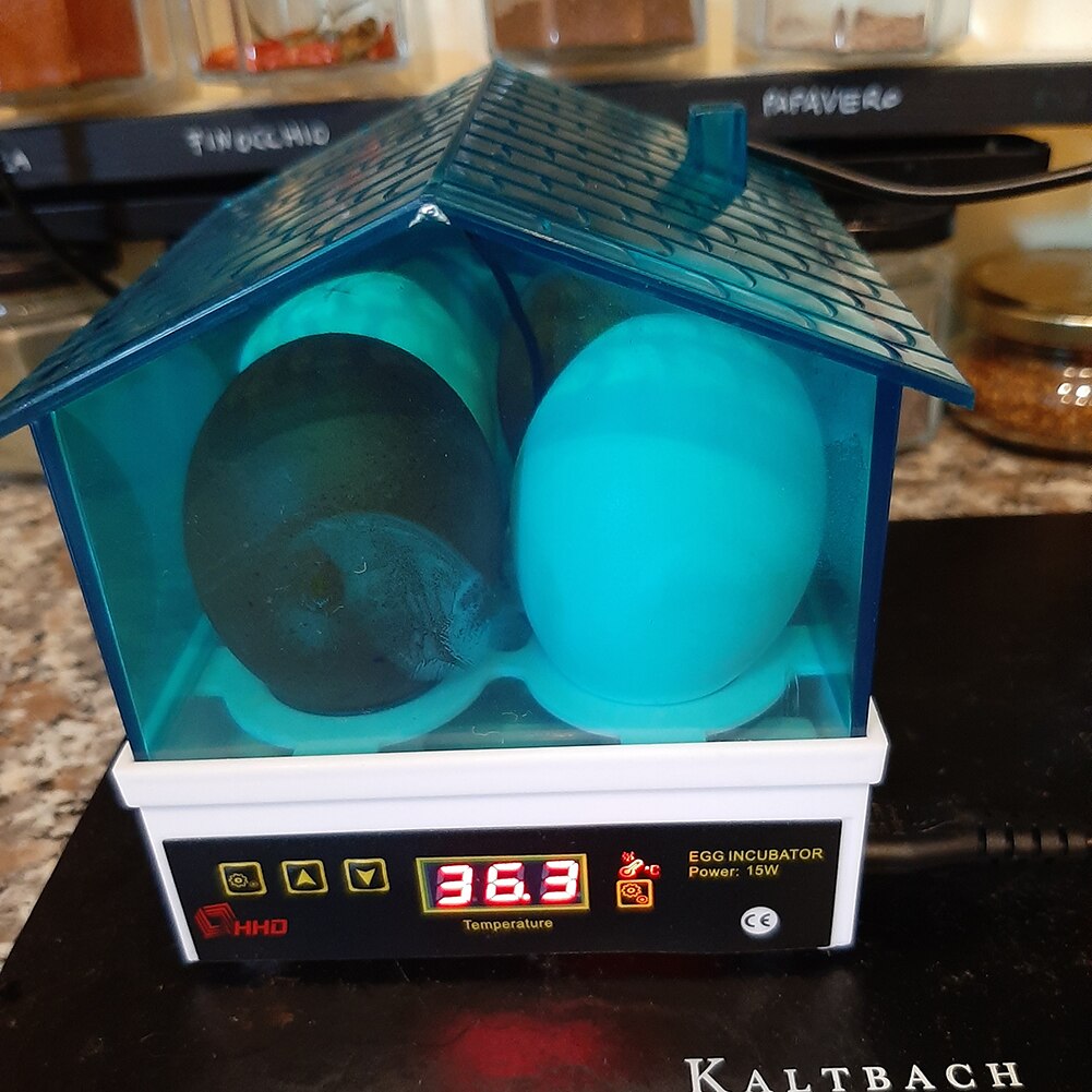 Mini Semi Automatic Duck Goose Incubator with LED Light Poultry Chicken Bird Hatcher Tool Digital Temperature Brooder Incubator