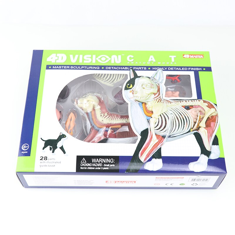 Simulatie dier pop 4d meester puzzel assemblage speelgoed wezen gevogelte kat hond paard varken haai walvis orgaan anatomie