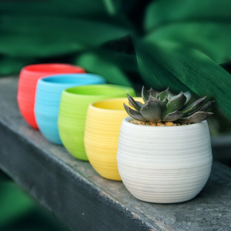 Macetas pequeñas bonitas de plástico para plantas, macetas de flores para suculentas, macetas para interior, hierbas, jardín, hogar