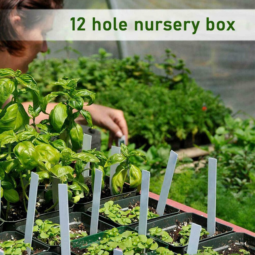 Seed Starter Tray Seedling Sprout Plate 12-Cells Nursery Pots Tray With Transparent Lids Box For Gardening Bonsai Garden Tool